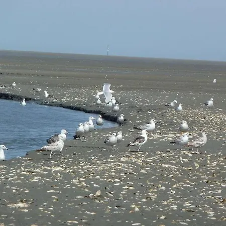 Hohe Lith 4 09 Modern Retreat Holiday home